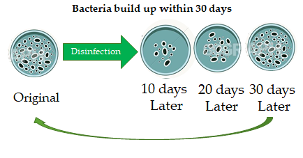Bacteria Disinfectant Service Singapore