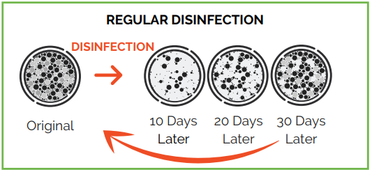 Regular Disinfection