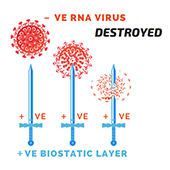 Virus Disinfection